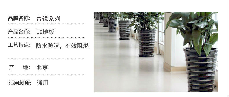 1523331396234394.jpg 富銳系列.jpg